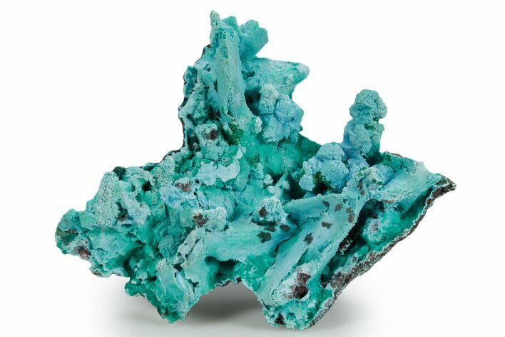 Chrysocolla and Malachite Pseudomorph - Lupoto Mine, DR Congo #354662